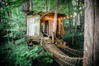 /album/fotogaleria/treehouse-4-cropped-thumb-768x512-53020-1-jpg/